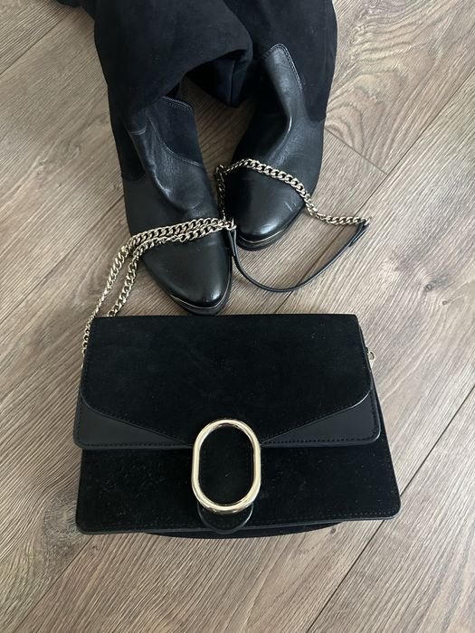 Massimo Zardi, Tamaris