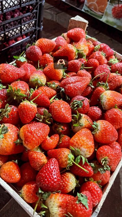 Клубника Скидка Букет 4шт 2500тг