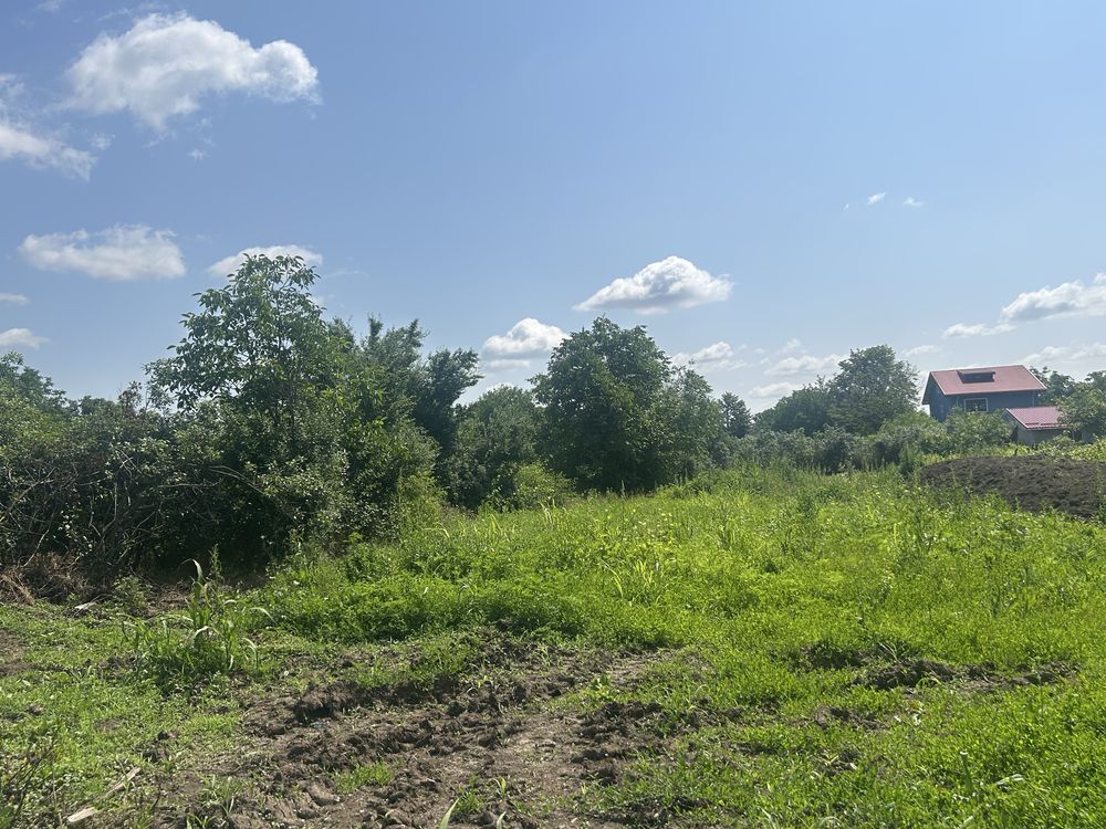 Vand teren 980mp, intravilan in Islaz, Branesti perfect pentru casa