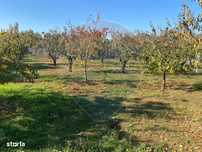 DE VANZARE Teren 1,520mp Paulestii Noi / Prahova