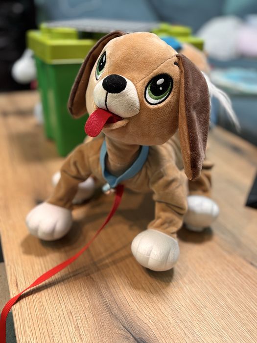 Кученце за разхождане