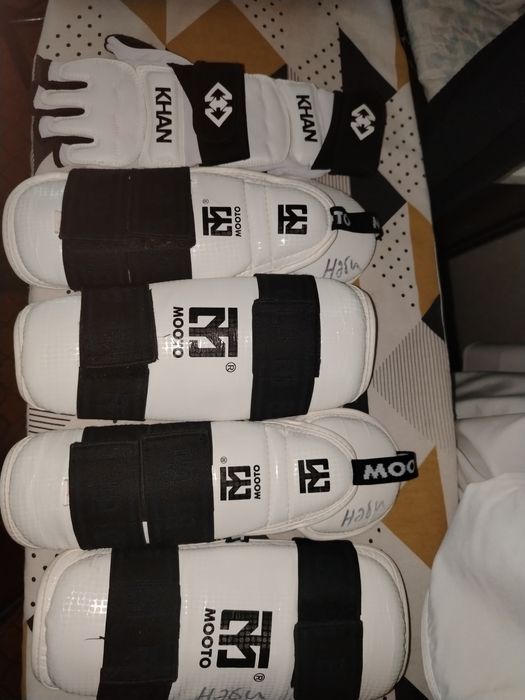 Щитки для тхэквондо