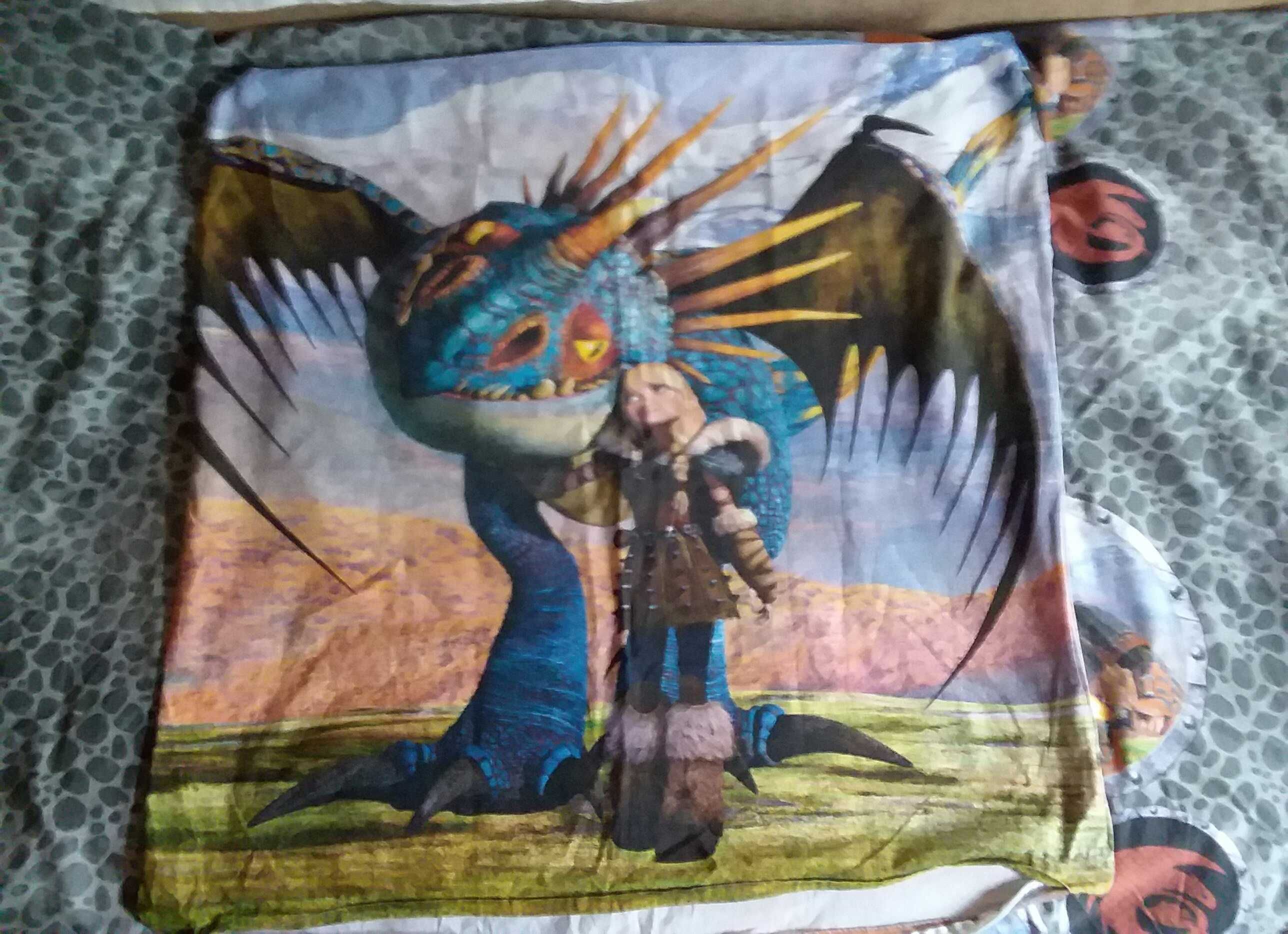 Camera copiilor set de pat HTTYD duvet