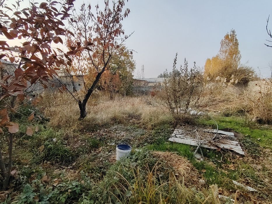 Участка Йули буйида срочно Сотилади