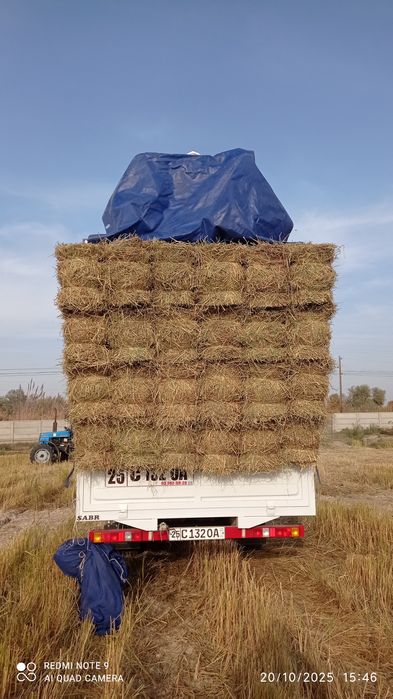 Yili 2006 uzunligi 5,80 ishlab turubdi narhini kelishamiz