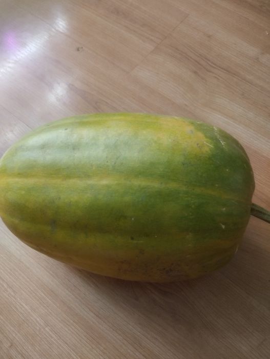 Продам дачную тыкву.