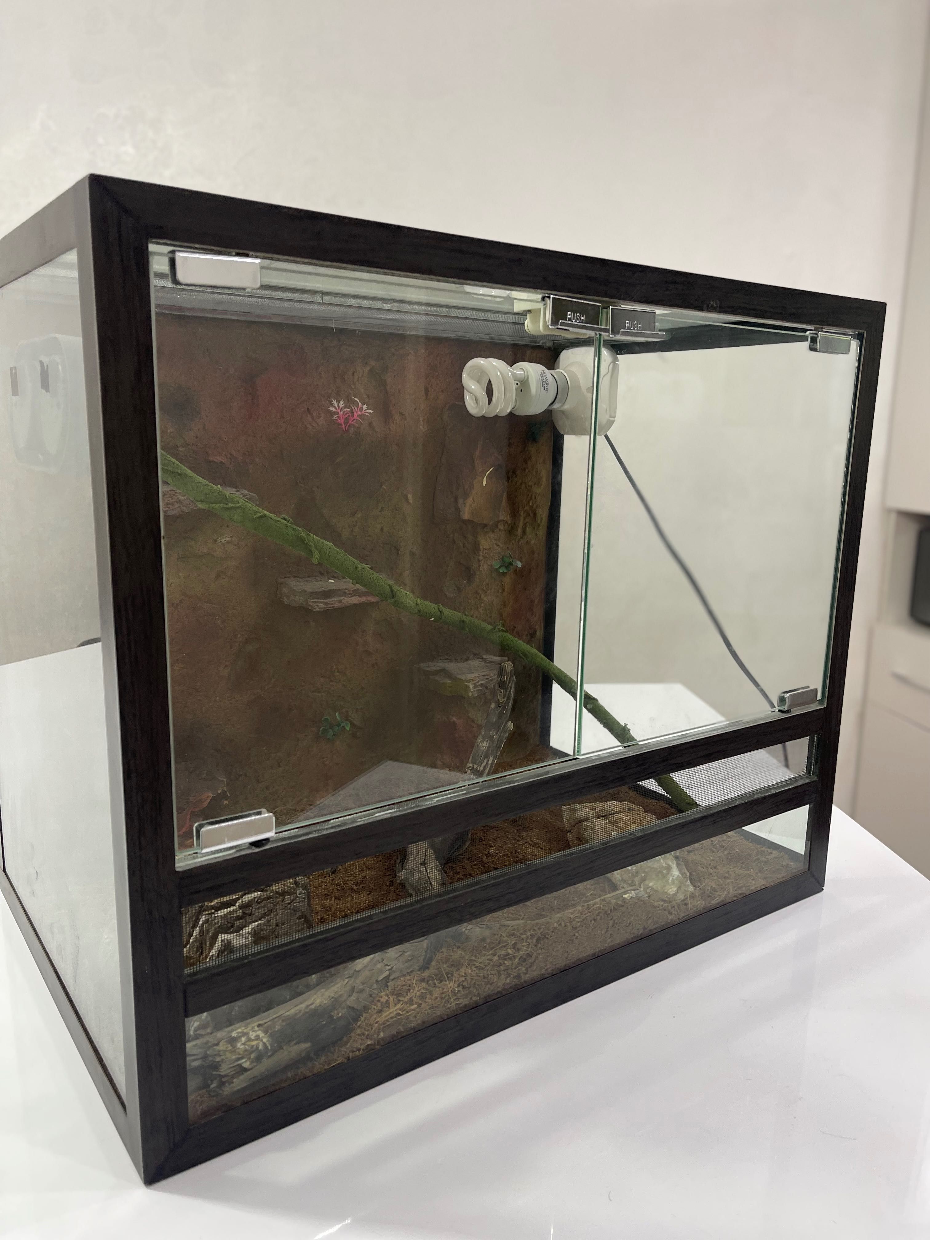 Terrarium | Террариум