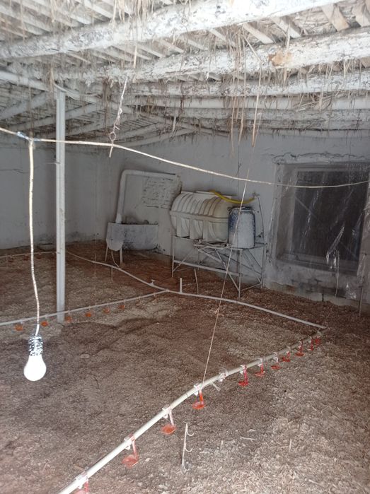 Broler boqishga joy ijaraga beraman