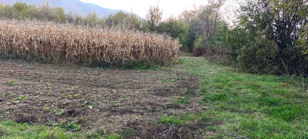 Teren extravilan Clopotiva