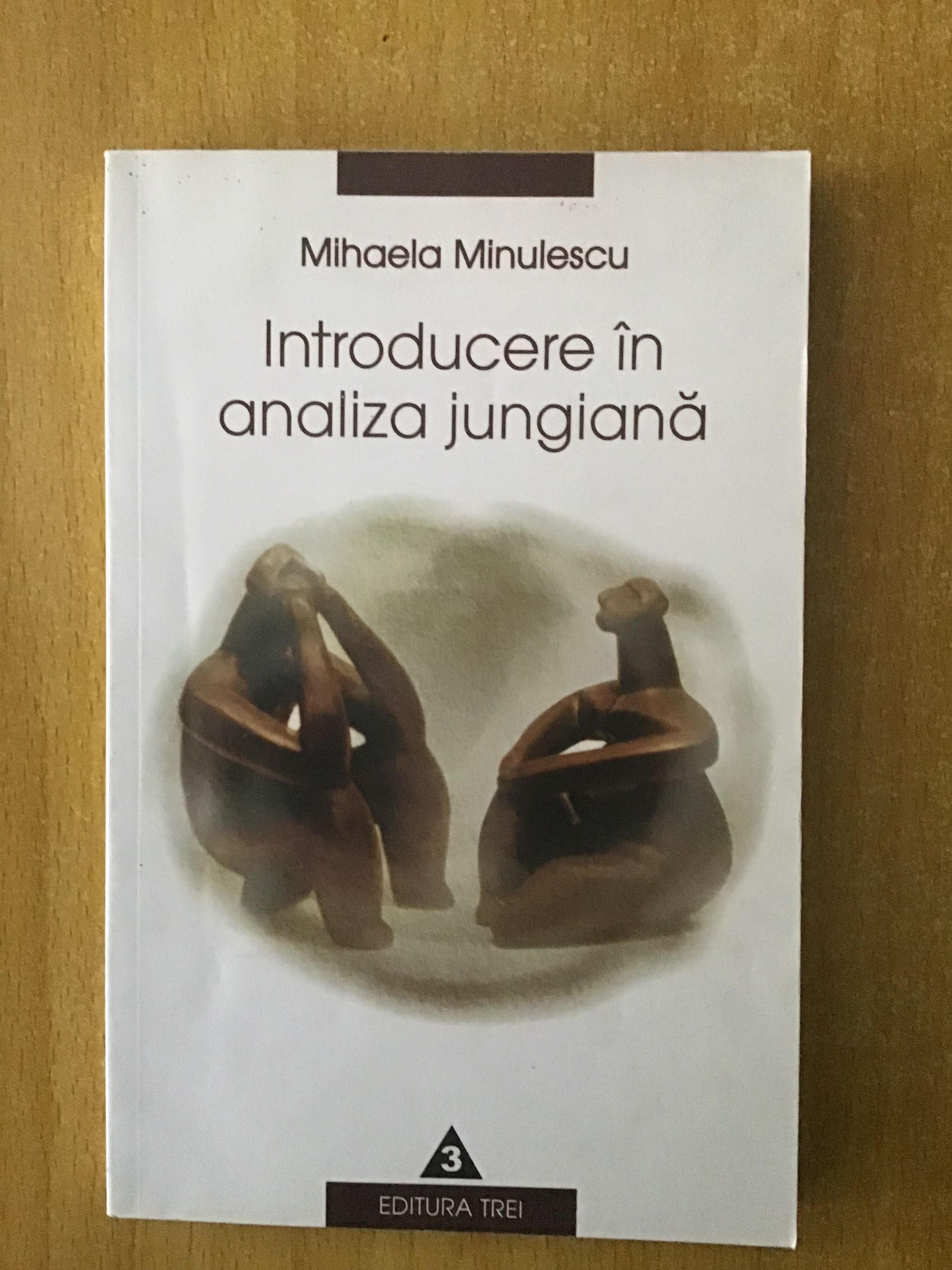 Introducere in analiza jungiana. Mihaela Minulescu