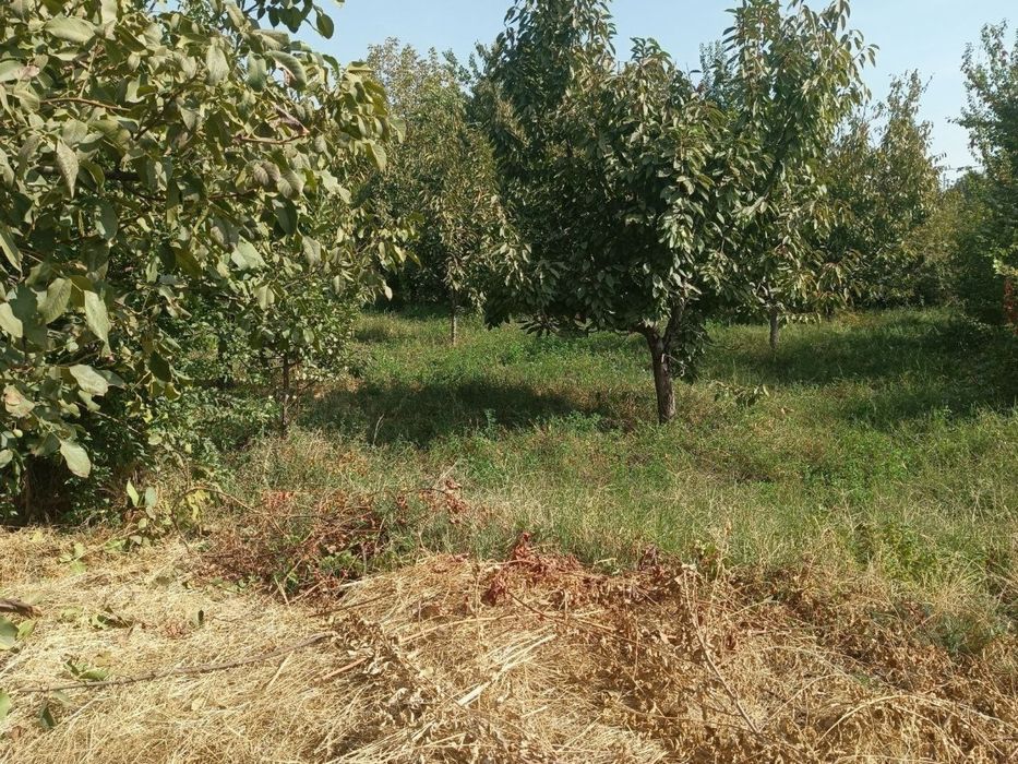 Продается СВОЙ участок - 8,5 соток