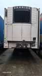 Duba frigo carier vector 1550