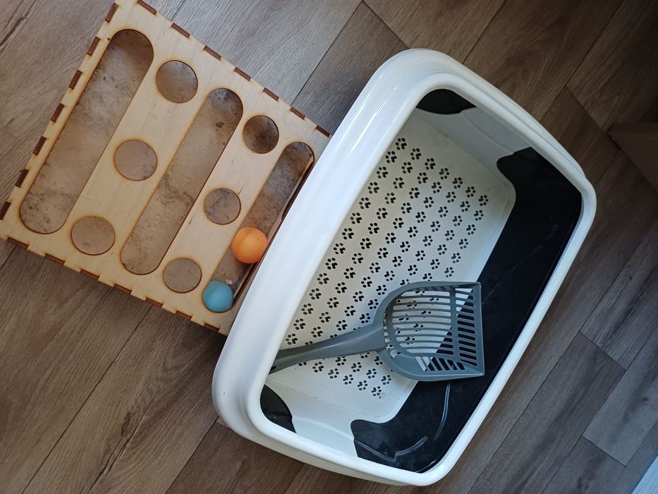 Кошачий лоток и игрушка