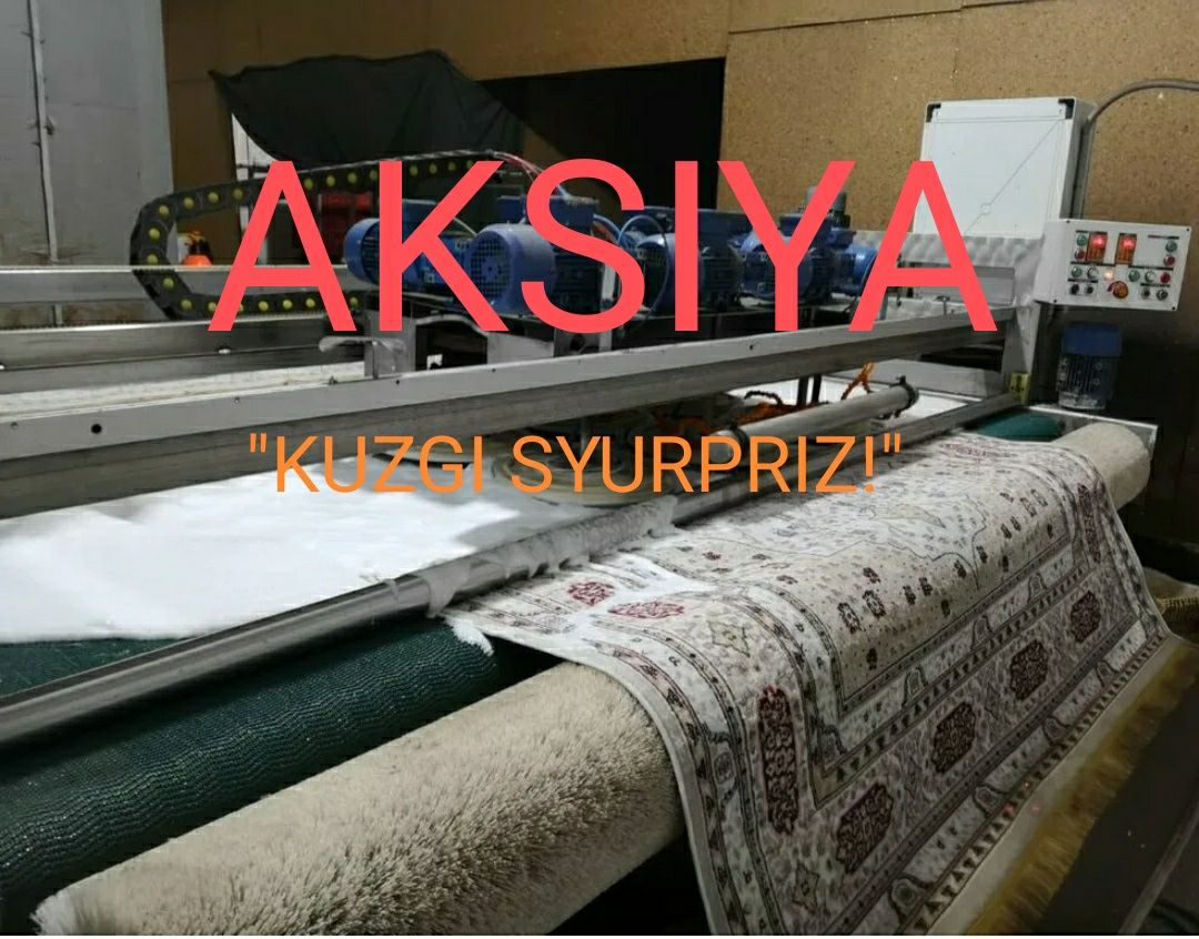 Professional gilam yuvish/стирка ковер Kuzgi Syurpriz AKSIYA