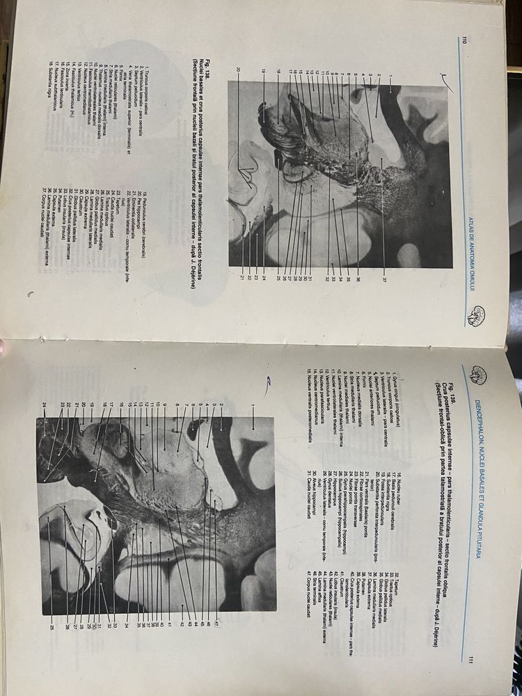 Atlas de neuroanatomie Viorel Ranga