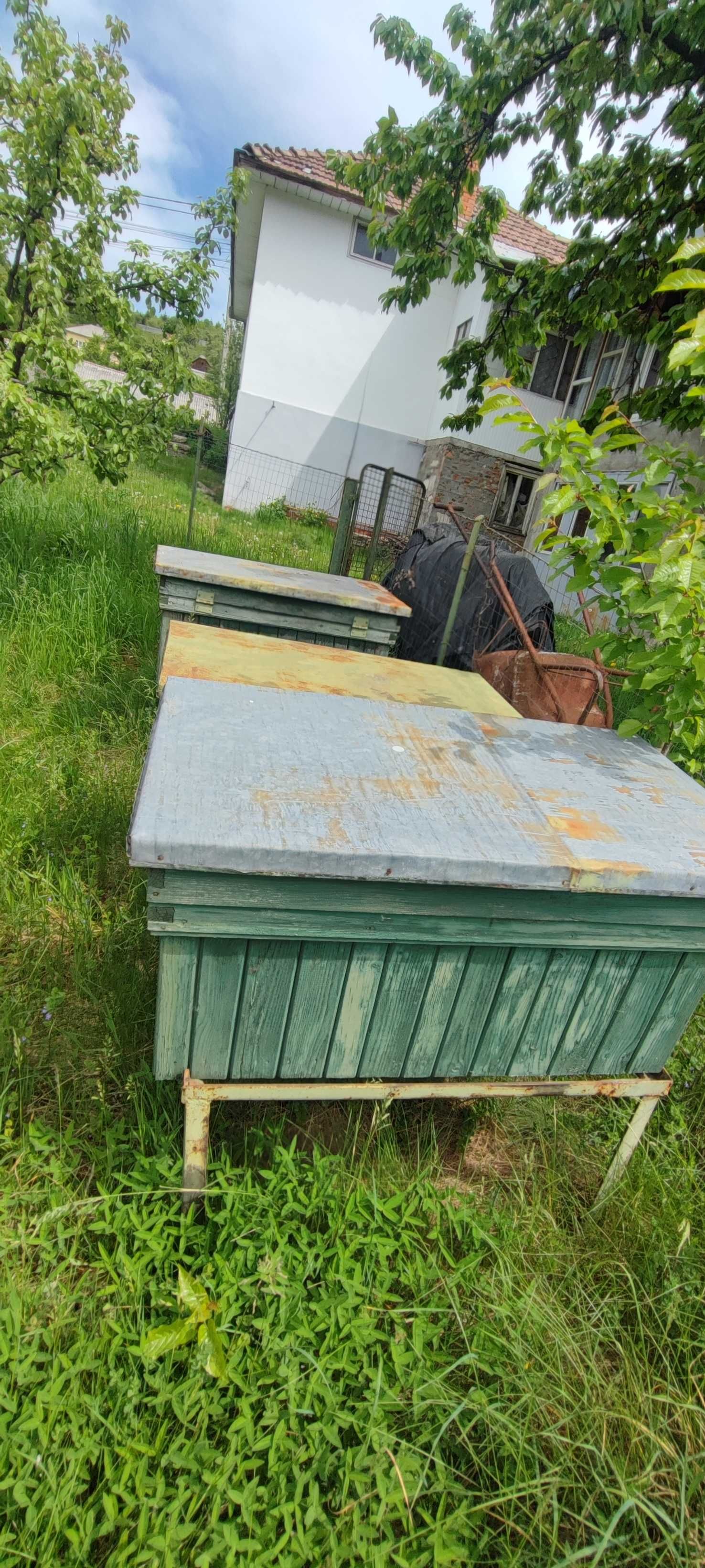 Cutii de albine echipate complet
