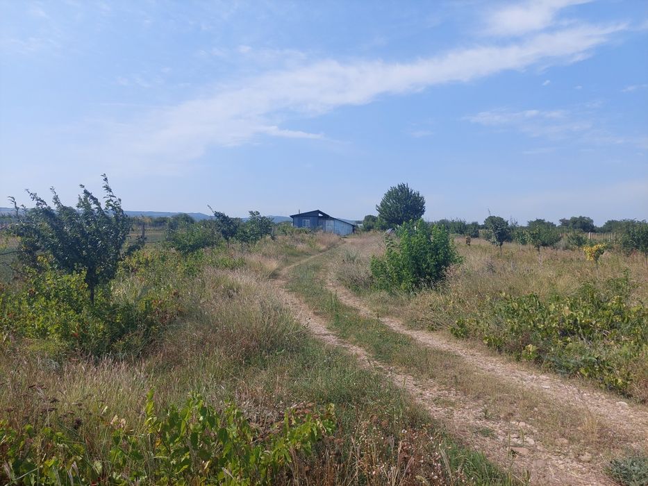 / DE VÂNZARE  / DE ÎNCHIRIAT  / Teren Intravilan  3707 Mp  / Oreavu  /