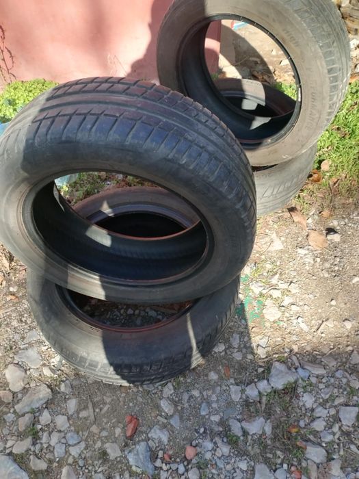 Гуми 205/55/16 таурус/рикен