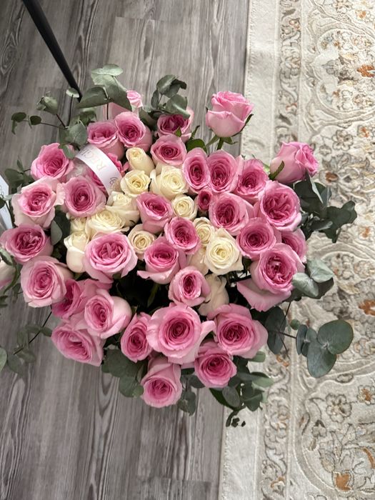 Цветы свежая , роза