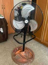 Standing fan in black colour.