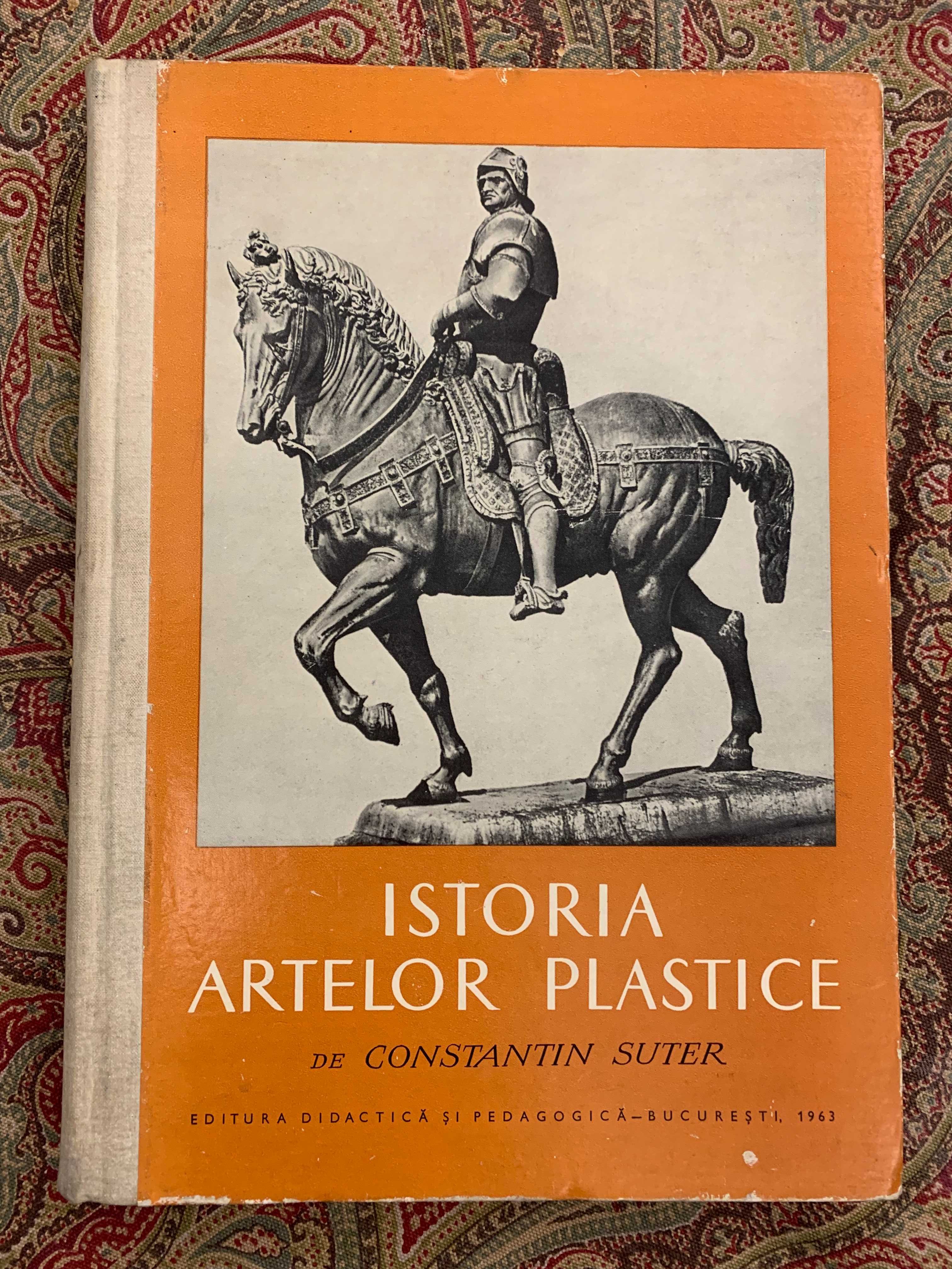 Istoria artelor plastice Constantin Suter