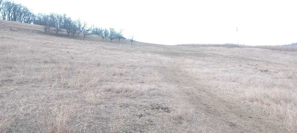 Teren intravilan 5.700 mp | Zonă Baraj Ighiș | Direct proprietar