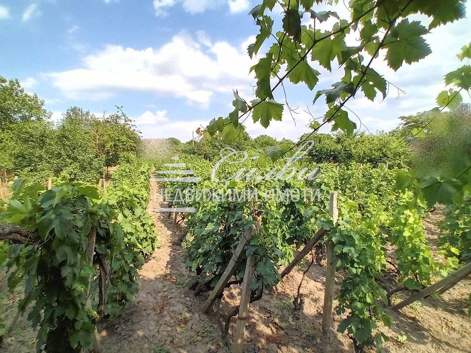 Вила - м-ст Нов Екарисаж