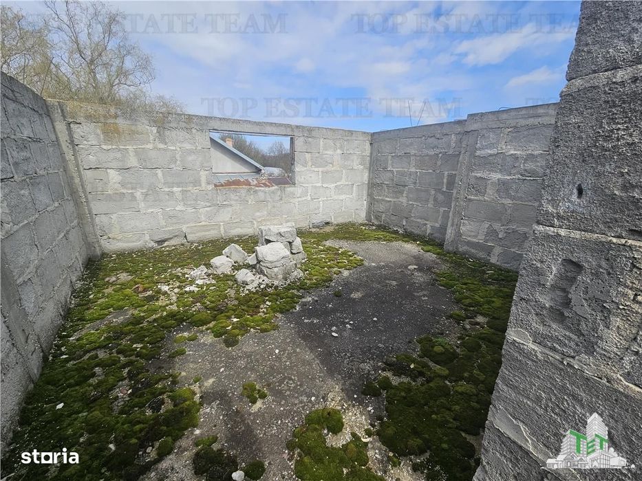 Teren 2400mp stradal + casa batraneasca in Mihai Voda Giurgiu