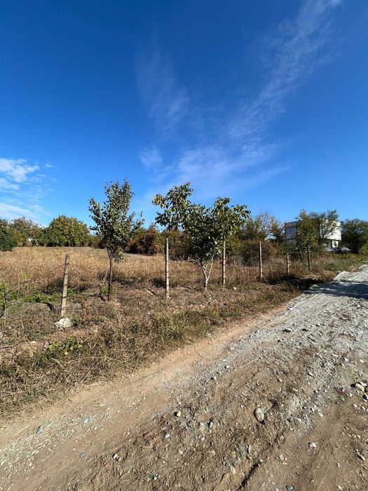 Teren intravilan Carcea - 1300 mp