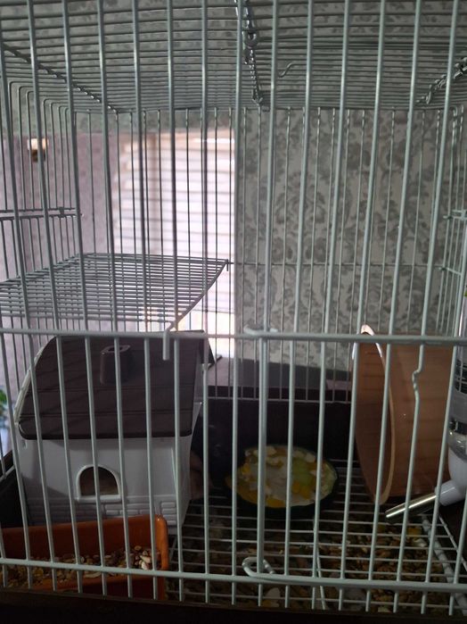 Продам клетку с хомячками