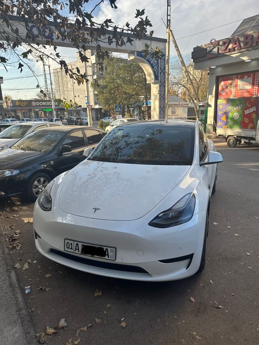 Tesla Model Y  standart