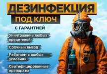 Дезинфекция насекомых клоп klop klapa Dezinfeksiya dezenfeksiya запах