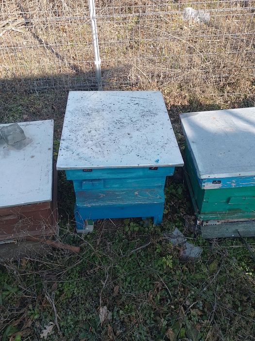 Пчелни празни кошери