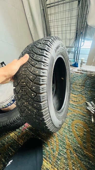 Балон зимний . Шиповный