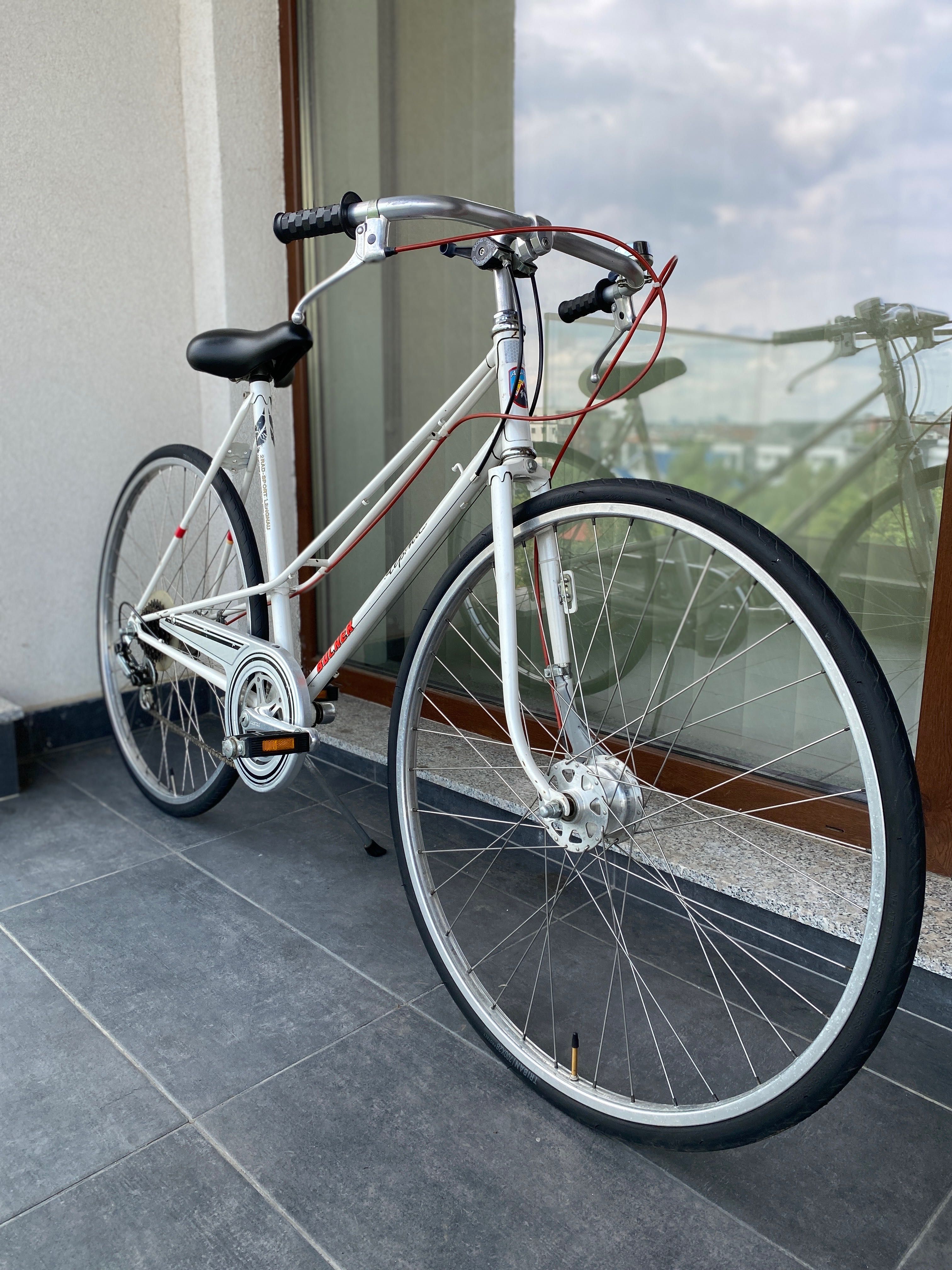 Bicicleta Alpina Bucher