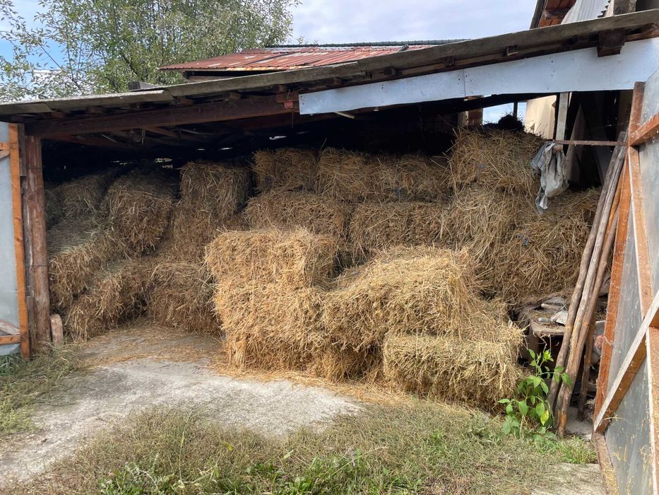 Vand baloti de lucerna si trifoi