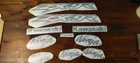 Kit stickere Oracal custom zx9r kawasaki ninja