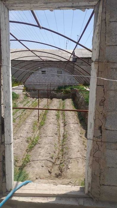 Теплица ( Issiqxona )