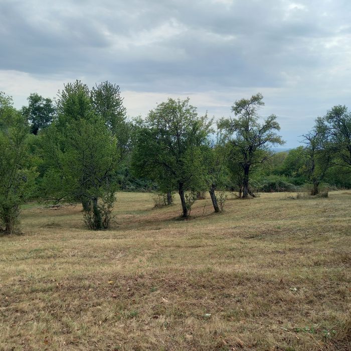 Vând teren Izvoru Rece Vaideeni Vâlcea