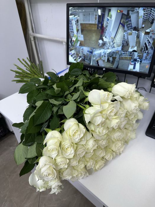 51 шт белый метровый роза