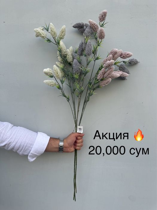 Суний гуллар шохлар оптом