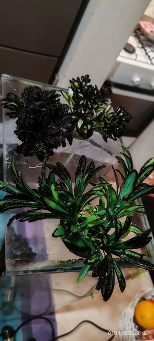 Аквариум 30л с разни водорасли и арка