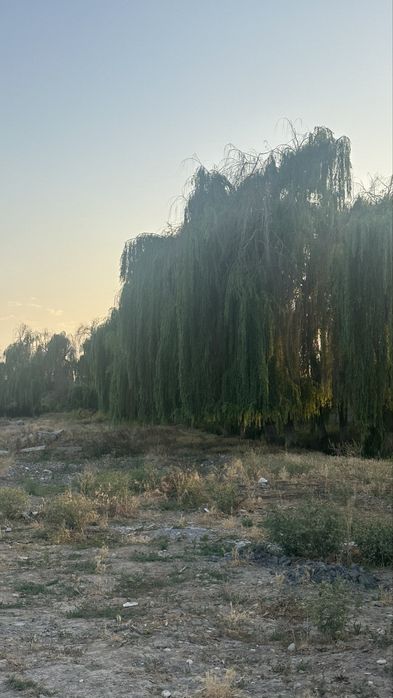 Ер сотилади. Земля под любой вид деятельности