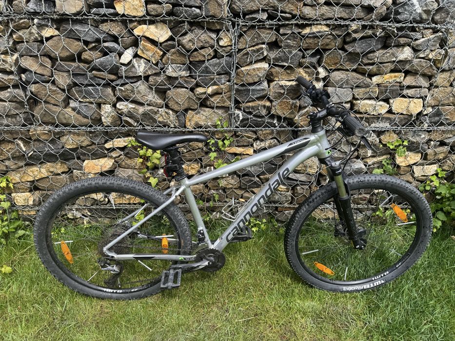 Cannondale Trail 6 2019 Silver