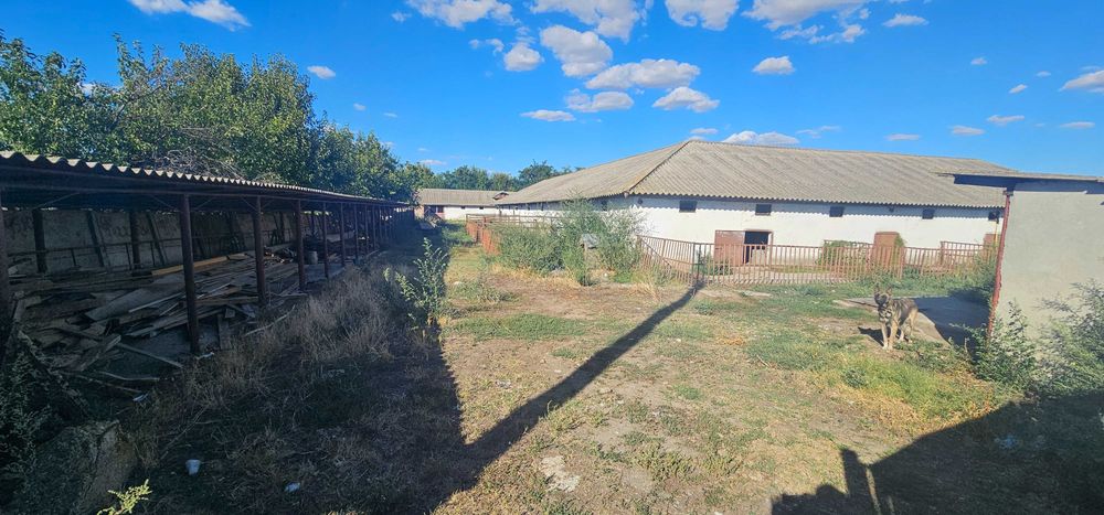 Ferma 6000 mp (cladiri, grajduri, hambar - intravilan)