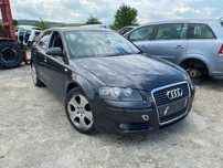 Dezmembrez piese Audi A3 8p