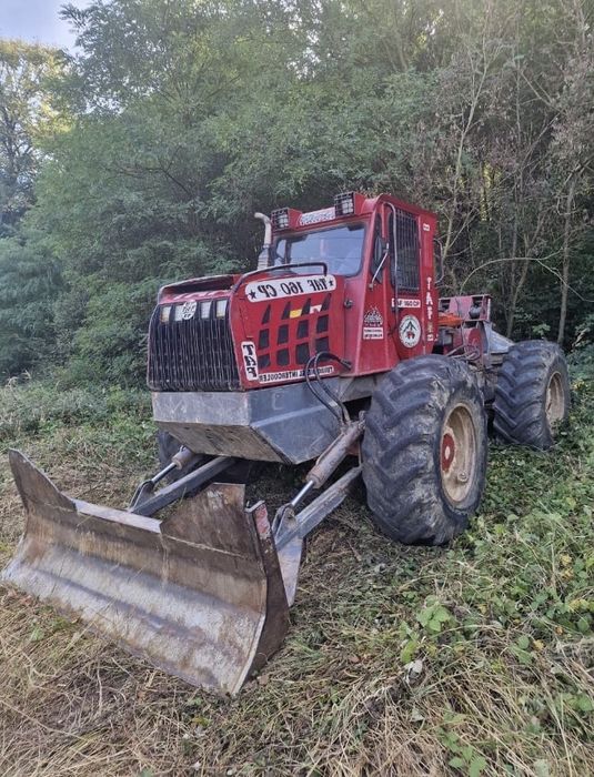 Vand taf forestier