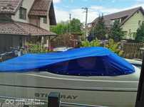 Barca Stingray 150LS