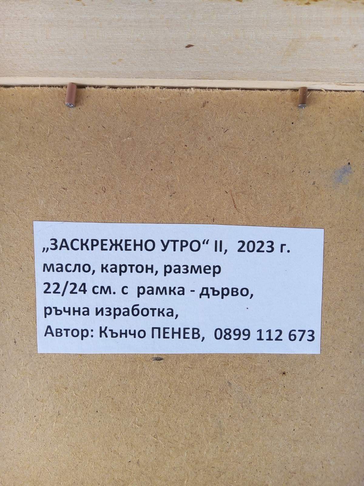 Авторска картина " Заскрежено утро II"