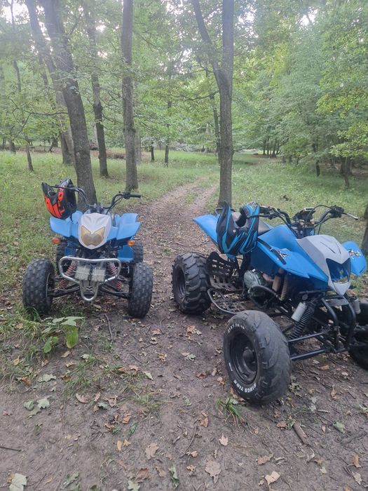 Vand bashan 200cc